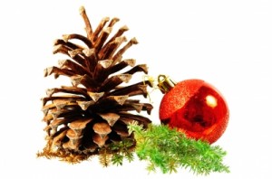 ID-100168366 Celebrating the Green Way This Holiday Season Celebrating the Green Way This Holiday Season